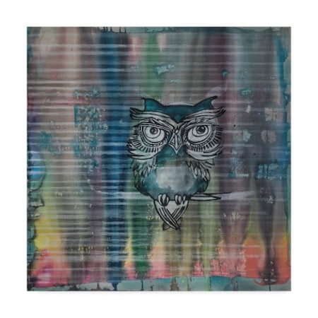 Trademark Fine Art Zwart 'Owl In The Matrix Of Aura' Canvas Art, 18x18 ALI23537-C1818GG